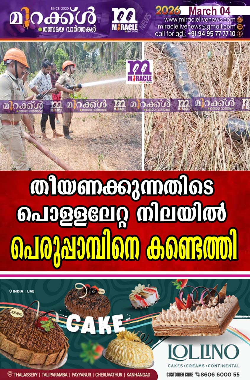 തീയണക്കുന്നതിടെ പൊള്ളലേറ്റ നിലയില്‍ പെരുപ്പാമ്പിനെ കണ്ടെത്തി