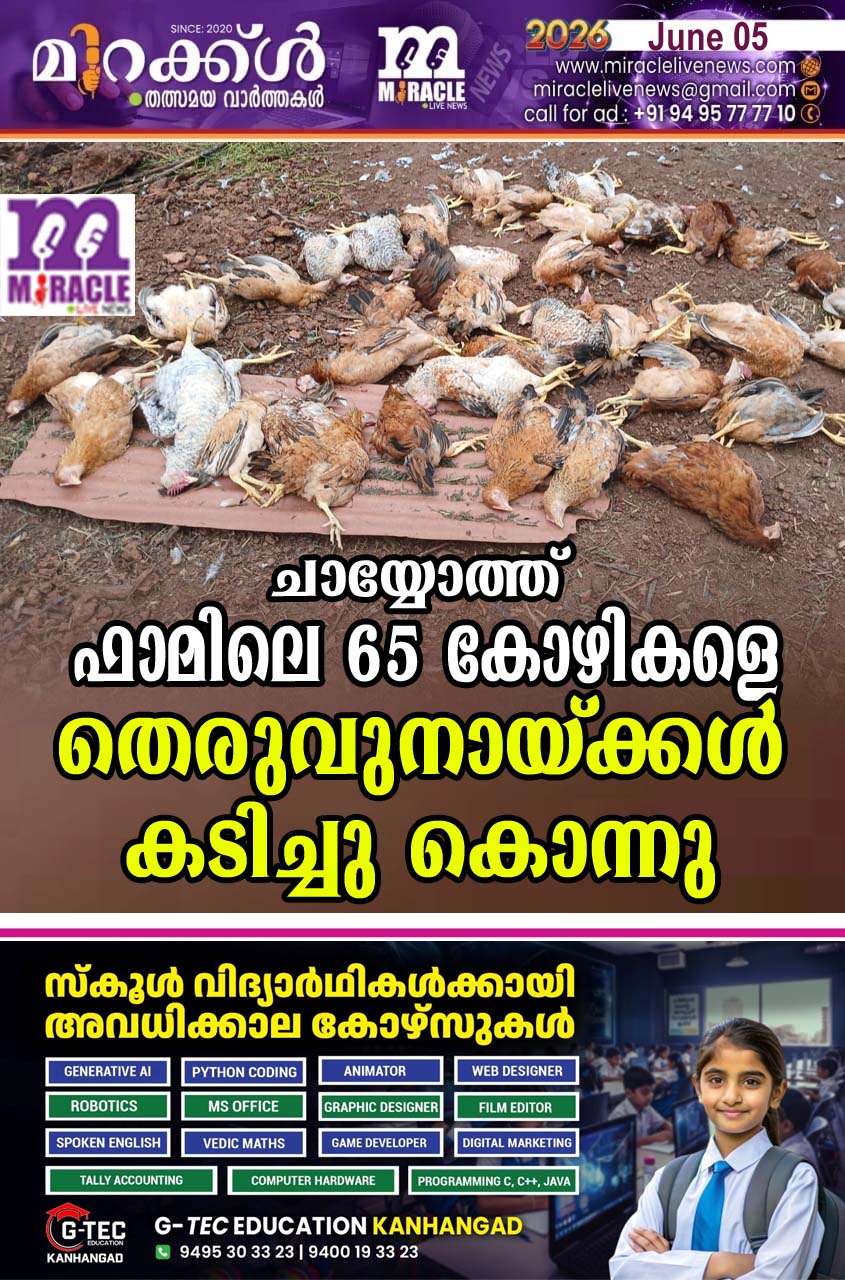 ചായ്യോത്ത് ഫാമിലെ 65 കോഴികളെ തെരുവുനായ്ക്കള്‍ കടിച്ചു കൊന്നു