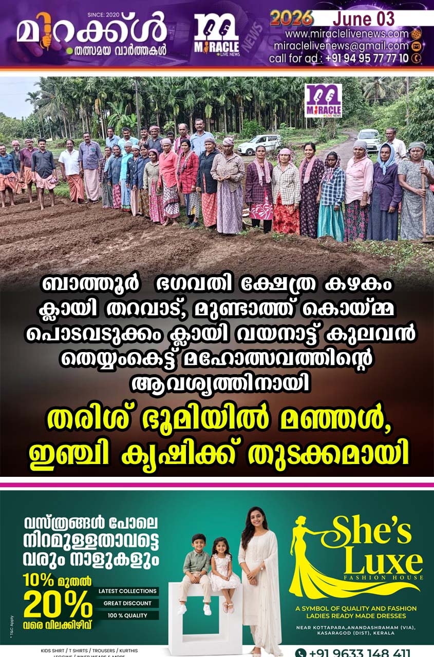 ബാത്തൂര്‍ ഭഗവതി ക്ഷേത്ര കഴകം ക്ലായി തറവാട്, മുണ്ടാത്ത് കൊയ്മ്മ പൊടവടുക്കം ക്ലായി വയനാട്ട് കുലവന്‍ തെയ്യംകെട്ട് മഹോത്സവത്തിന്റെ ആവശ്യത്തിനായി തരിശ് ഭൂമിയില്‍ മഞ്ഞള്‍, ഇഞ്ചി കൃഷിക്ക് തുടക്കമായി